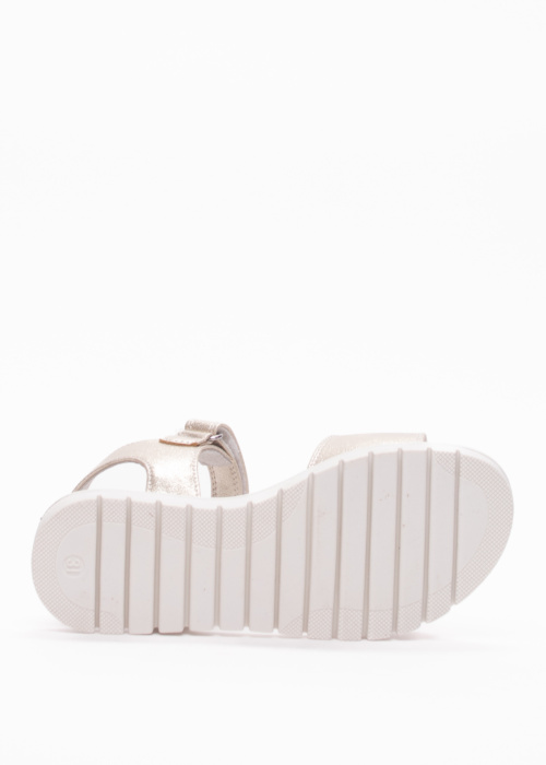 Lumberjack lahtised kingad