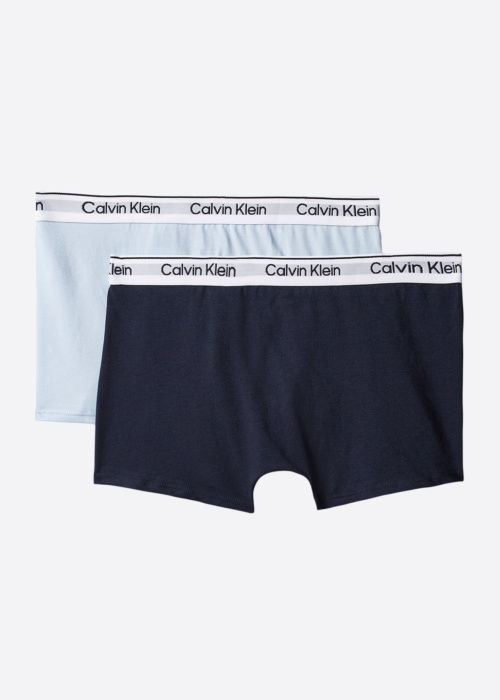 Боксеры 2 Pack Trunk Calvin Klein