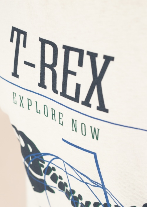 Name It Kids T-särk Ricko