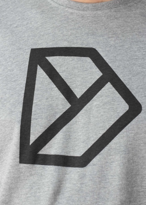 Футболка D-logo Didriksons