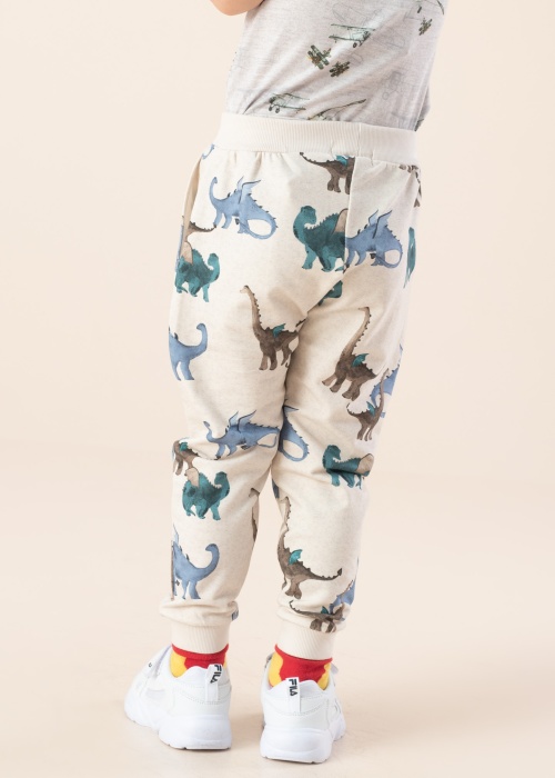 Спортивные штаны Dragon Name It Mini