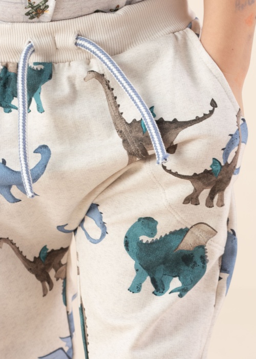 Спортивные штаны Dragon Name It Mini