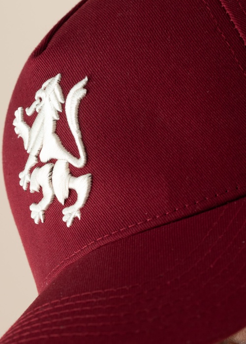 Diverse nokamüts Gryffindor