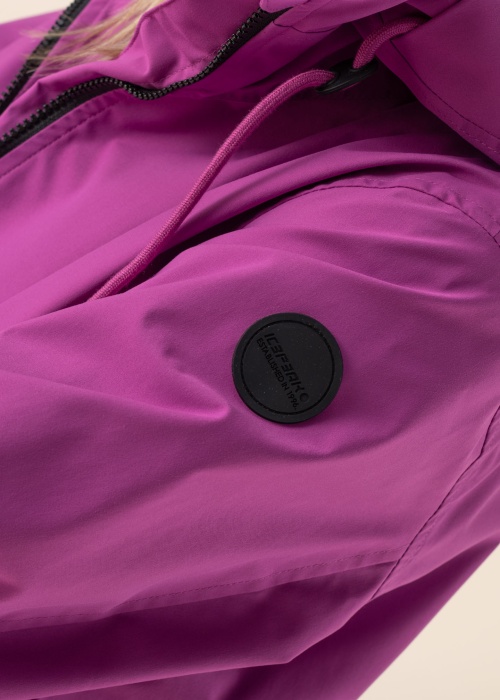 Icepeak kevad-sügisparka Aalem