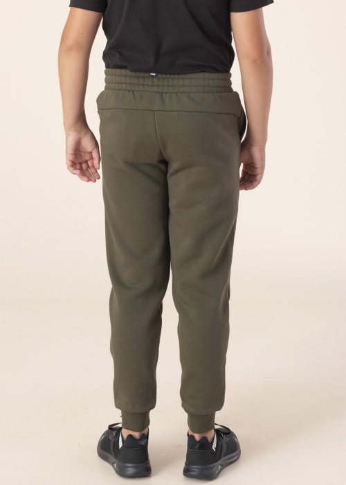 Спортивные штаны Ess 2 Col логотип Fl Puma