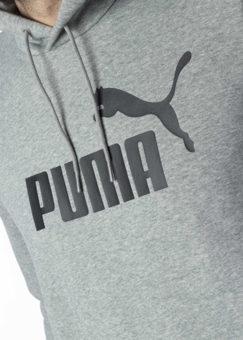 Puma pusa