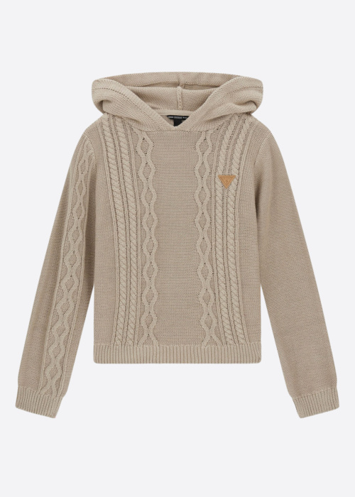Guess sviiter Hooded
