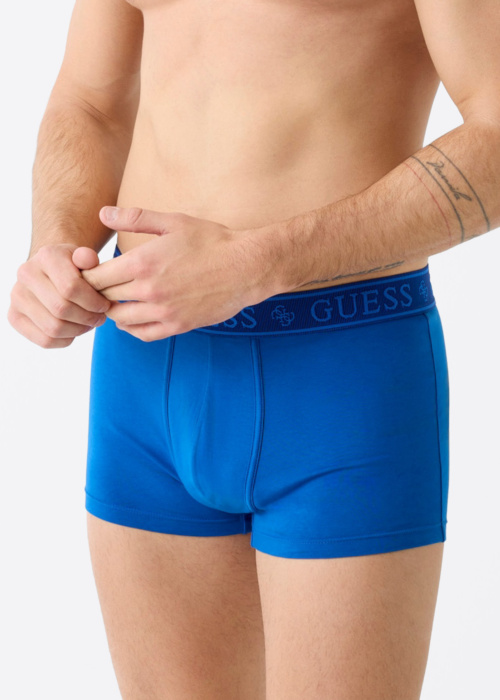 Guess bokserid Joe
