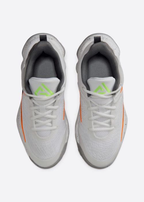 Баскетбольные кроссовки Giannis Immortality 4 Gs Nike