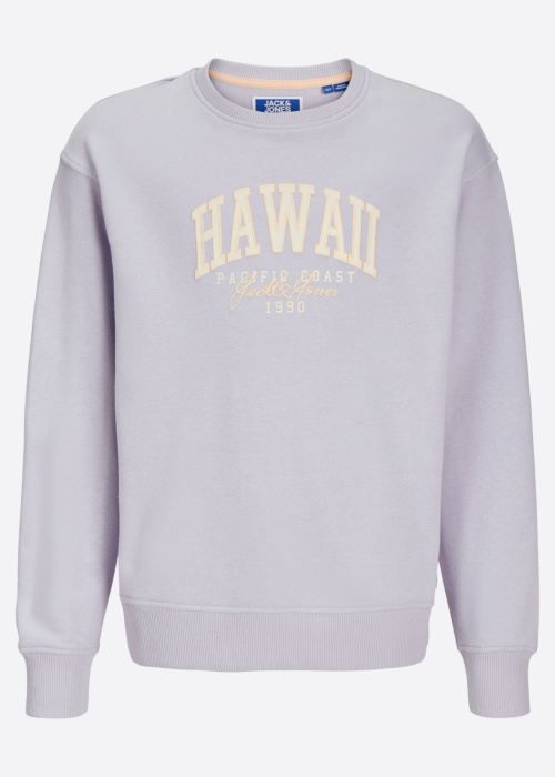 Jack & Jones pusa Detroit