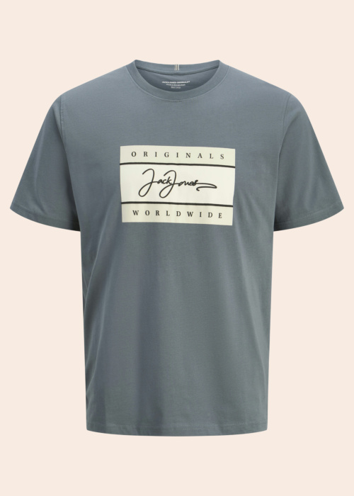 Футболка Frederiksberg Jack & Jones