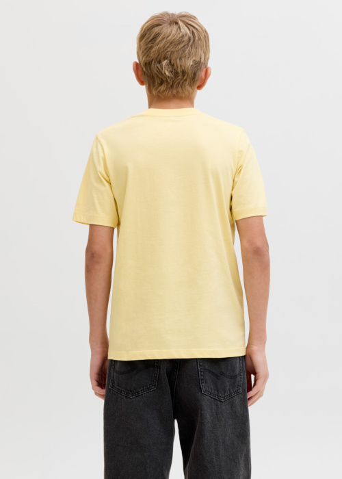 Jack & Jones T-särk Rayson