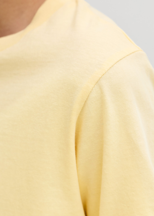 Jack & Jones T-särk Rayson