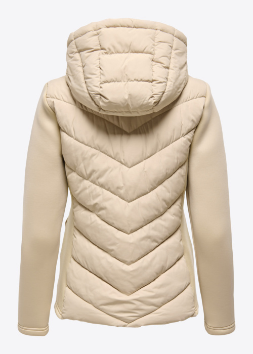 JDY kevad-sügisjope Reef Scuba