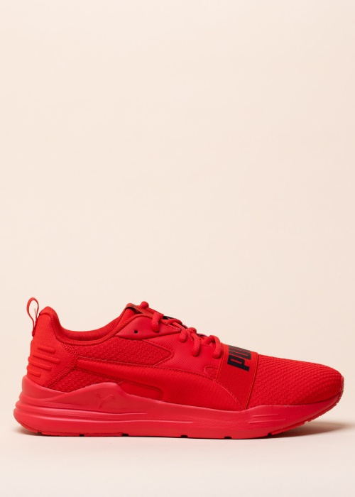 Кроссовки Wired Run Pure Puma