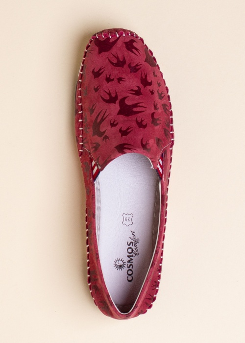 Cosmos vabaajajalatsid