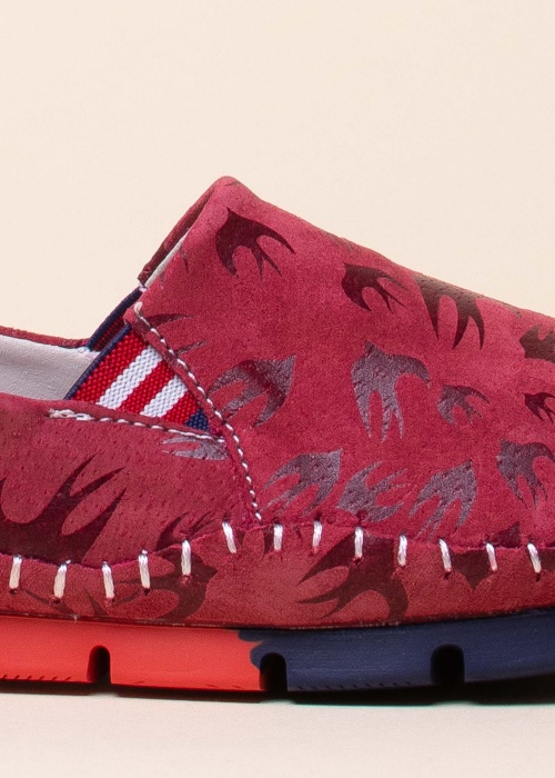 Cosmos vabaajajalatsid