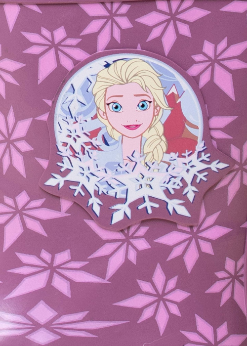 Резиновые сапоги Frozen Leomil