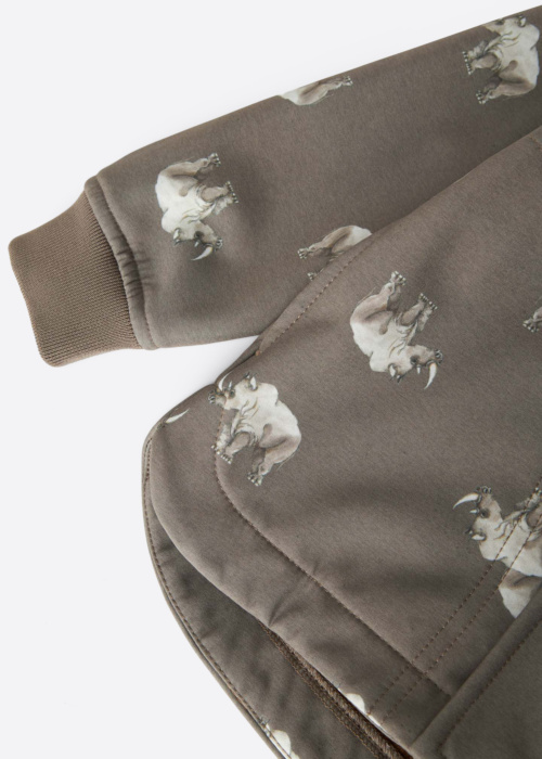 Весенне-осенняя спортивная куртка SCH Alfa08 Name It Mini Outerwear