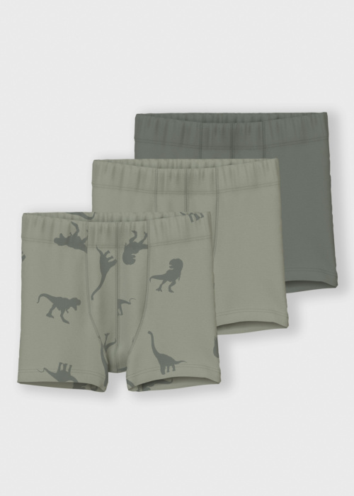 Боксеры 3 пары Dino Name It Mini