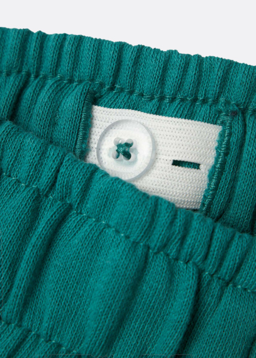 Шорты Fritzo Name It Kids