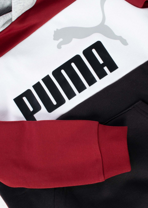 Puma pusa