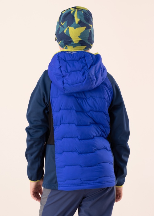 Icepeak kevad-sügisjope Knox Jr SCH