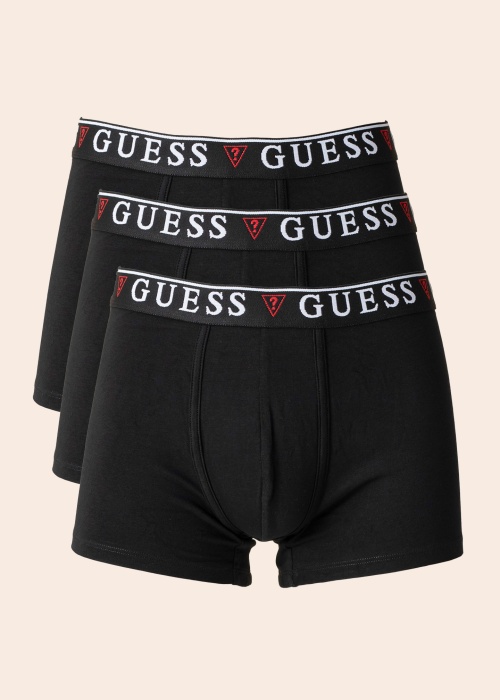 Боксеры Brian Guess