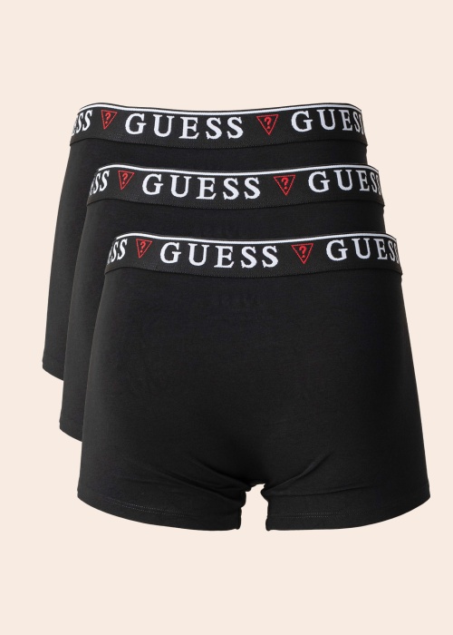 Боксеры Brian Guess