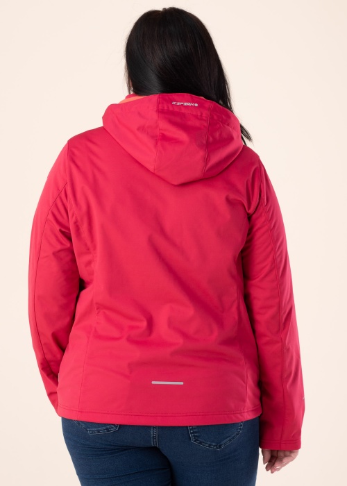 Icepeak kevad-sügisjope Boise SCH