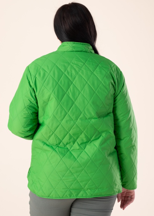 Весенне-осенняя куртка Lenni Simple Wish