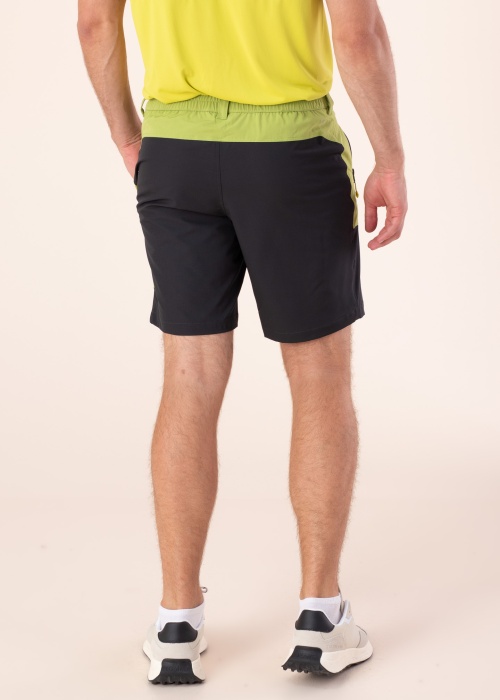 Шорты Batavia Icepeak