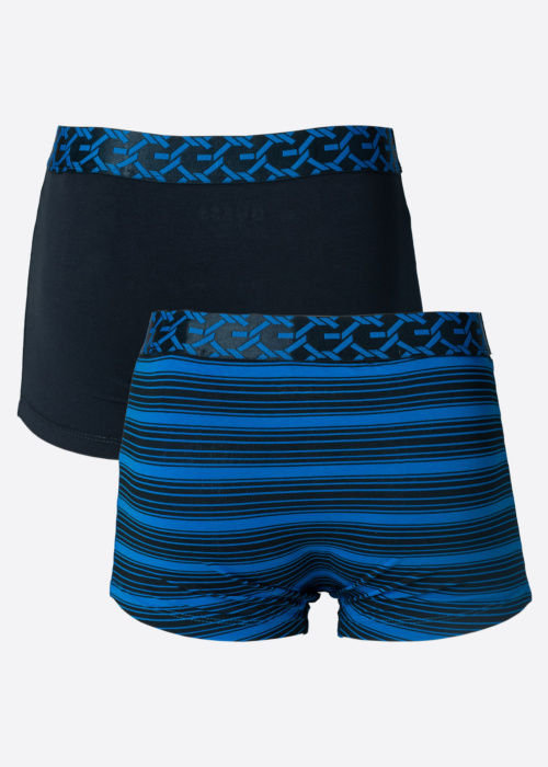 Боксеры в коробке 2 пары Brian Hero Guess