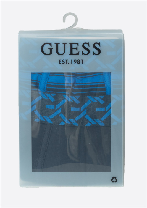Боксеры в коробке 2 пары Brian Hero Guess