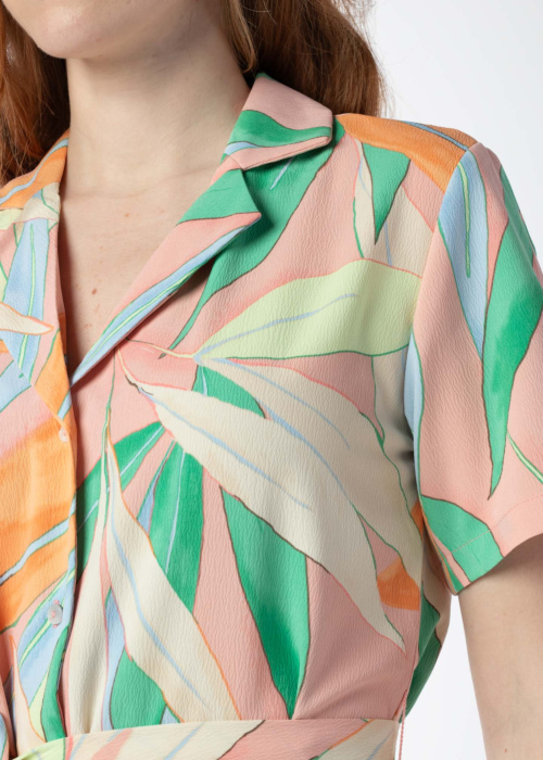 Only särkkleit Nova