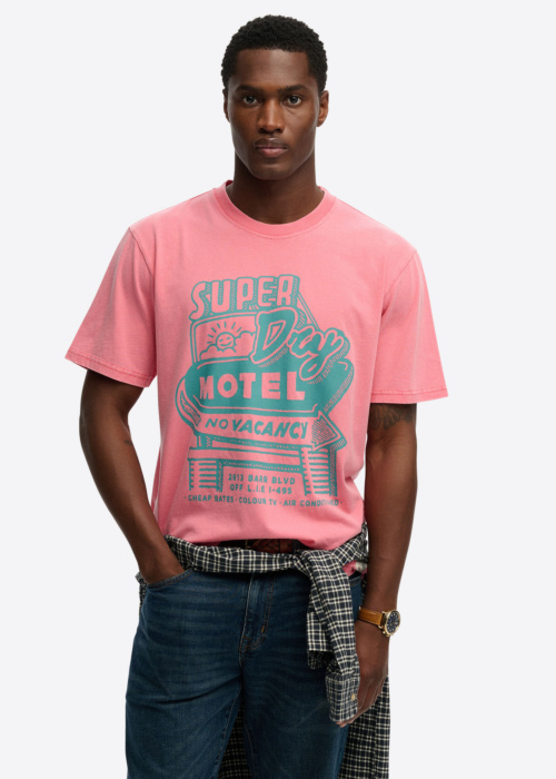 Футболка Roadside SuperDry