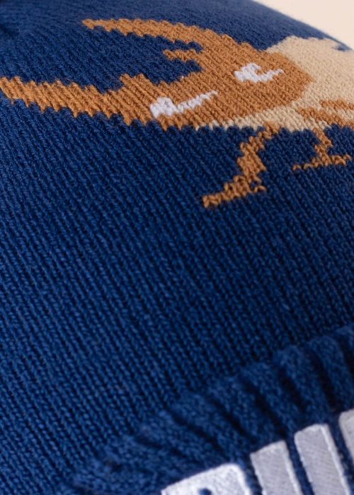 Зимняя шапка Small World Puma