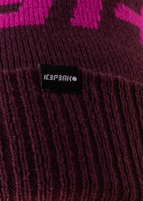 Зимняя шапка Hallsburg Icepeak