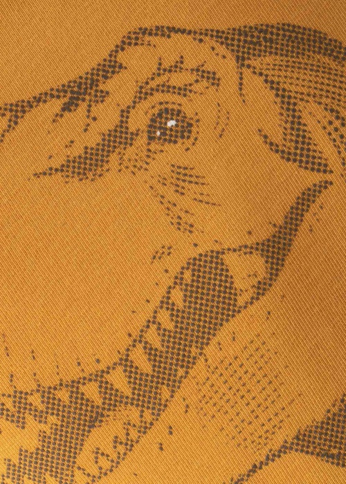 Name It Mini pikkade varrukatega T-särk Jammy Jurassic