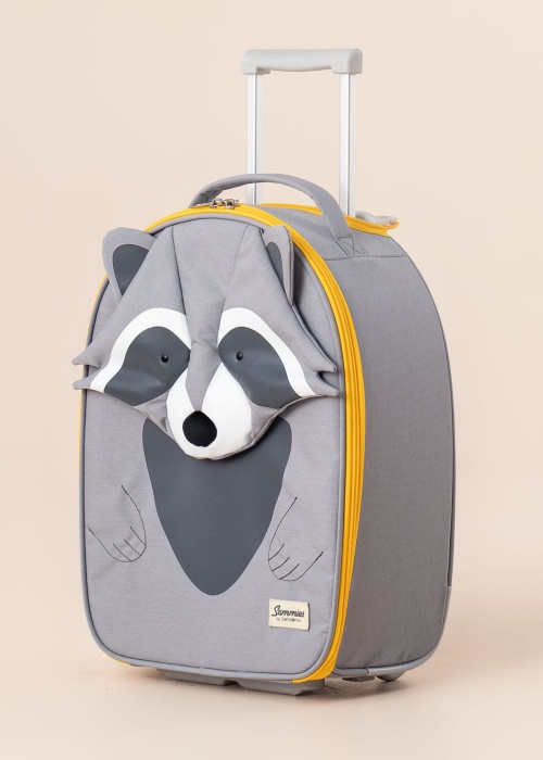 Чемодан Raccoon Remy Samsonite