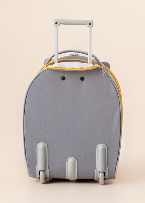 Чемодан Raccoon Remy Samsonite