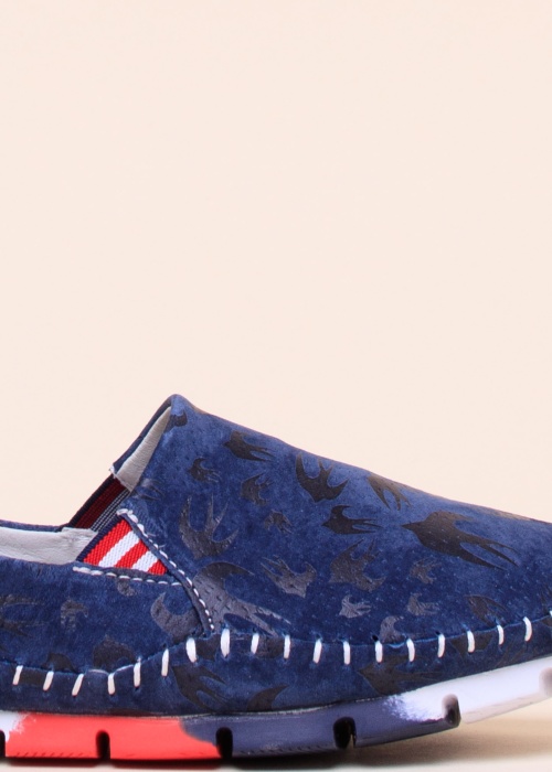 Cosmos vabaajajalatsid