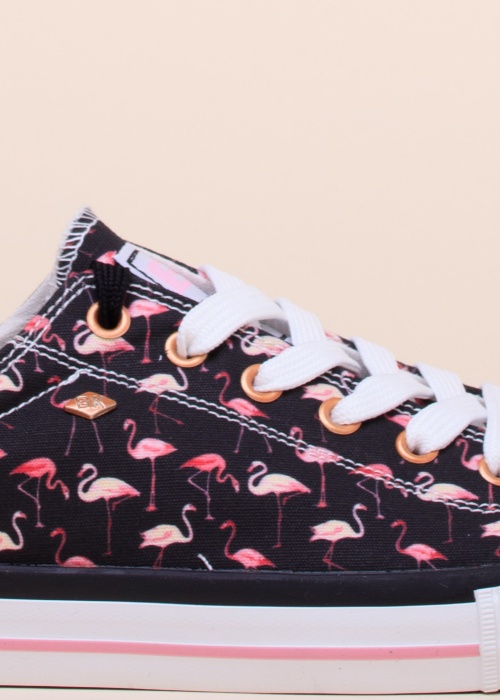 British Knights tennised Master Lo