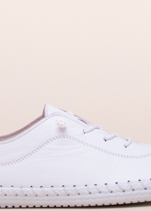 Cosmos vabaajajalatsid