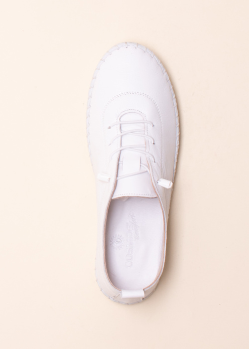 Cosmos vabaajajalatsid