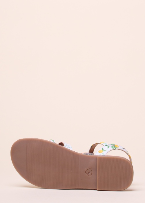 Sprox lahtised kingad