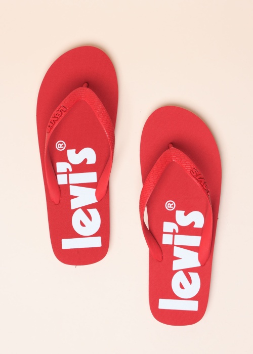 Levi's plätud Dixon Poster