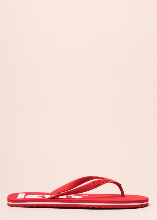 Levi's plätud Dixon Poster