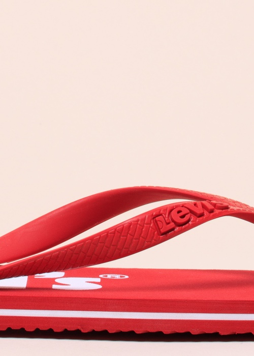 Levi's plätud Dixon Poster