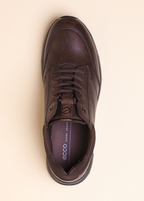 Ecco vabaajajalatsid